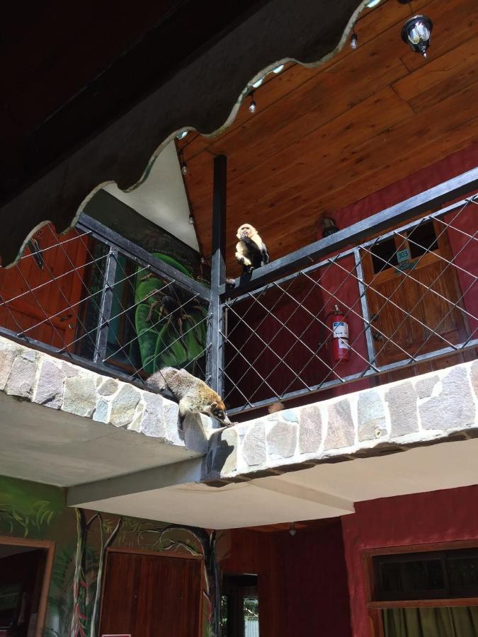 Manakin Lodge, Monteverde Cr Ngoại thất bức ảnh